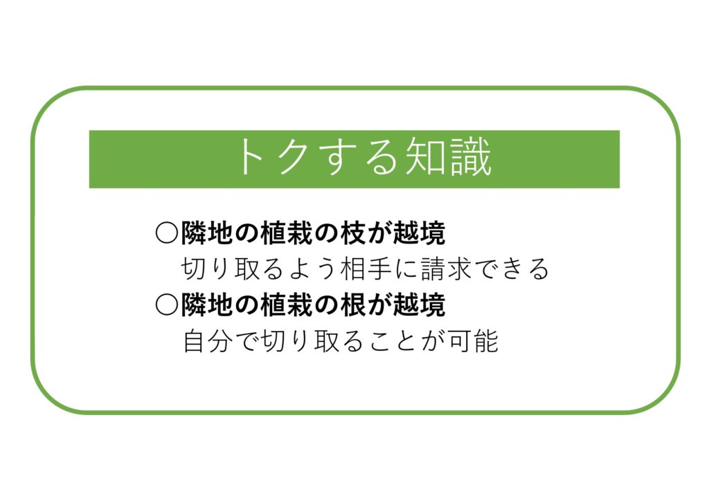 家づくりのことがスラスラわかる~vol.31~
