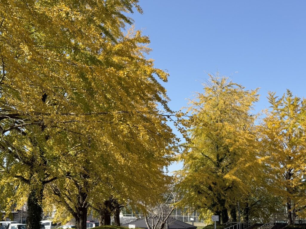 なんとか感じられた秋