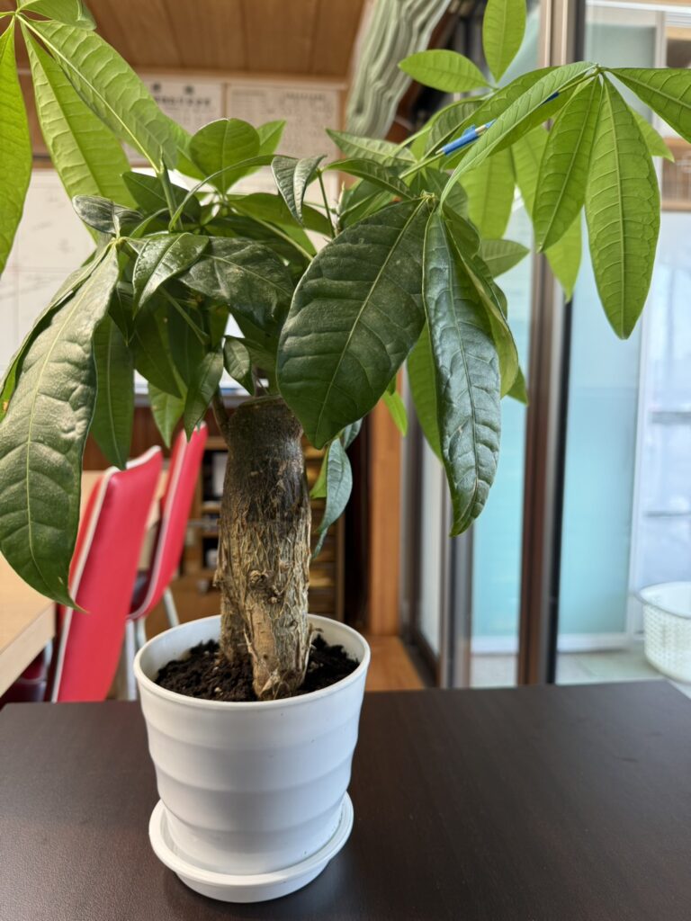 引越ししました。
