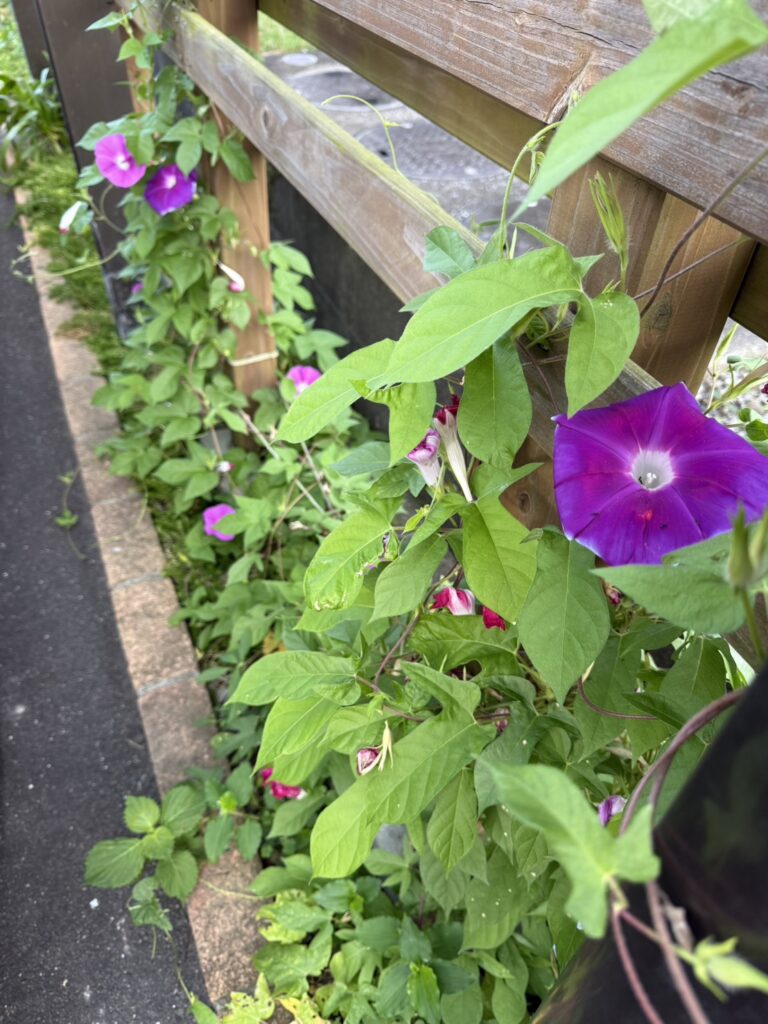 日常のふとした瞬間。