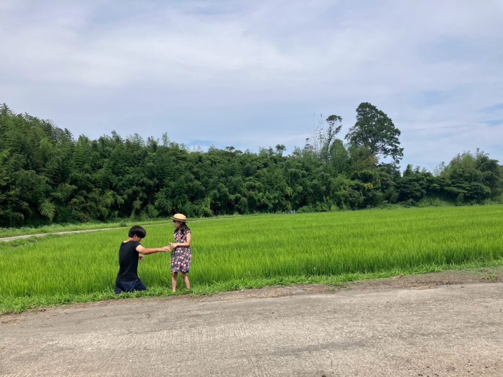 田舎の風景。